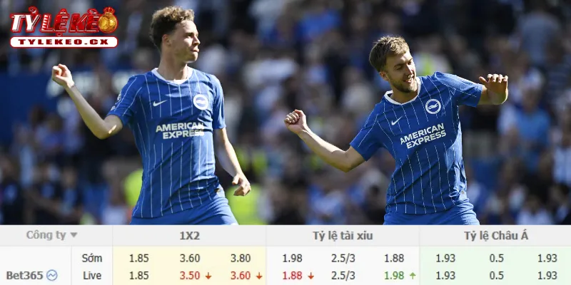 Chi tiết kèo Chelsea vs Brighton